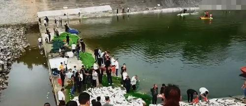 水库捕鱼视频,渔网翻涌，鱼儿跃动