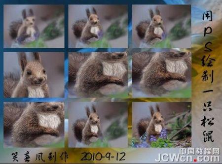 松鼠教学视频,轻松掌握松鼠技能的秘诀解析