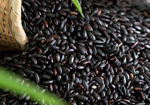 角瓜能和黑米一起吃吗,健康搭配的饮食新选择