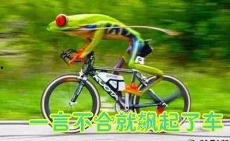 自行车吃瓜最新事件爆料,揭秘网络热议背后的真相与争议