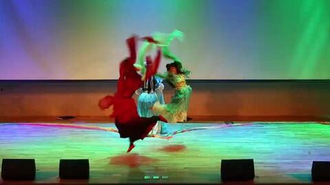 中国舞视频大全,视频大全中的舞蹈艺术之旅