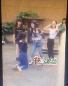 女生打人视频,女生挥拳相向，引发社会关注