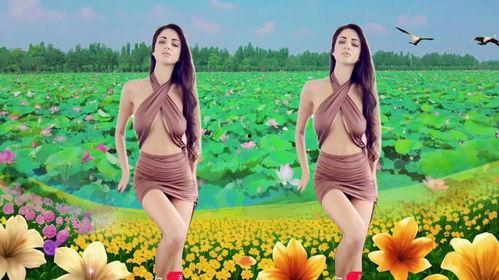 女人花视频,绽放的女性力量与美丽瞬间