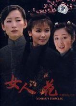 女人花视频,绽放的女性力量与美丽瞬间