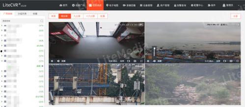 实时监控视频,捕捉城市脉搏，见证生活瞬间