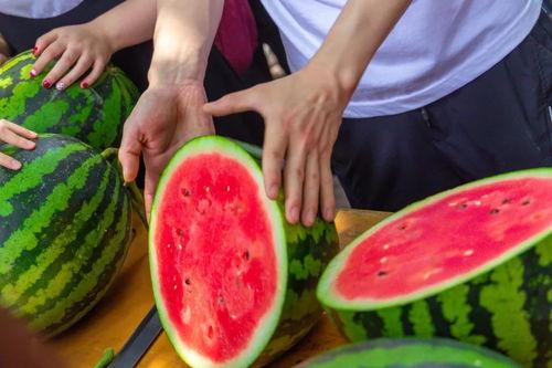 潍坊今日吃瓜,吃瓜群众聚焦热点事件