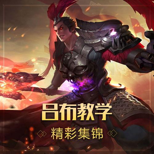 吕布教学视频,从新手到高手的教学视频解析