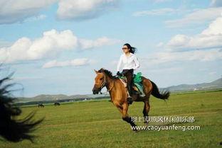 骑马视频,骑马视频中的速度与激情