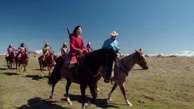 骑马视频,骑马视频中的速度与激情