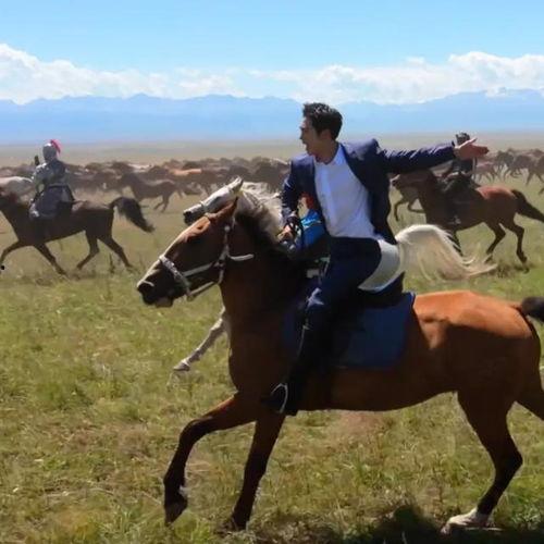 骑马视频,骑马视频中的速度与激情