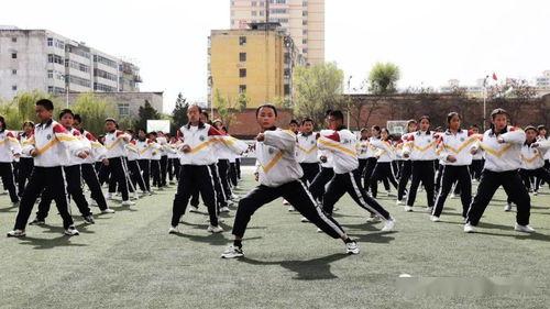 中华少年武术操视频,传承国粹，活力青春