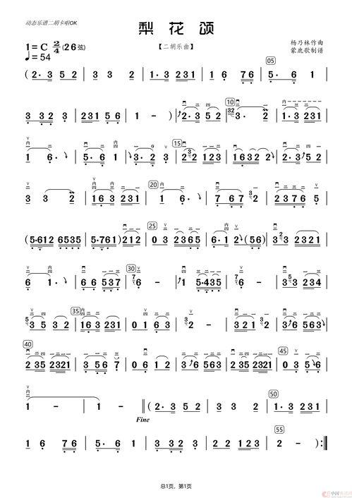 二胡独奏梨花颂视频,古韵悠扬，传承经典