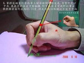 捏笔的正确姿势视频,掌握正确书写技巧的关键步骤