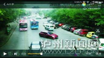 双黄视频,探寻生活背后的趣味与智慧