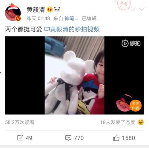 双黄视频,探寻生活背后的趣味与智慧