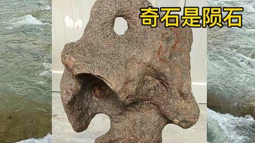 石头视频,揭秘石头背后的故事与魅力
