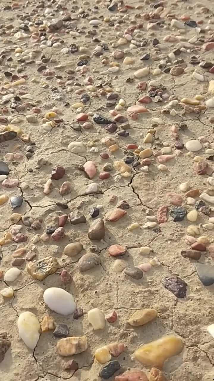 石头视频,揭秘石头背后的故事与魅力