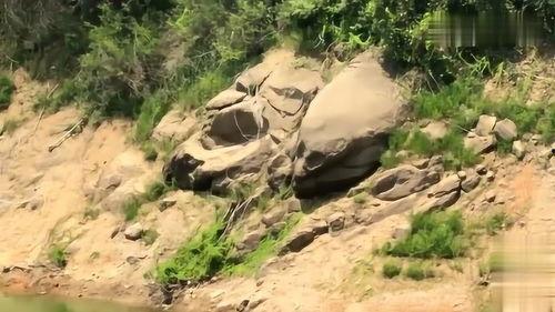 石头视频,揭秘石头背后的故事与魅力