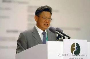 沙祖康视频,揭秘外交风云背后的智慧与策略