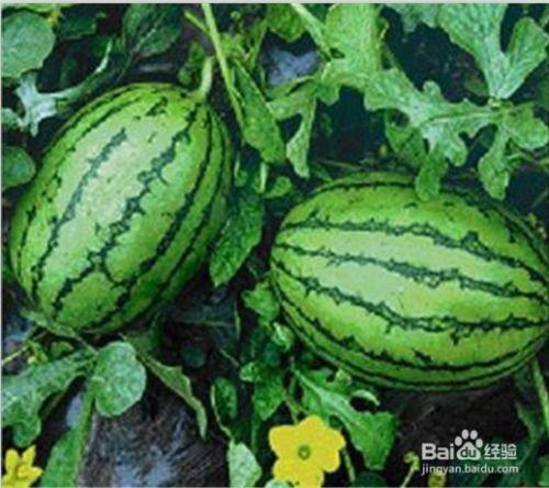 51cg热门大瓜今日吃瓜反差,今日吃瓜反差，揭秘娱乐圈真实面貌