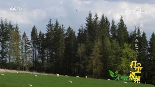 大自然视频,大自然视频中的视觉盛宴