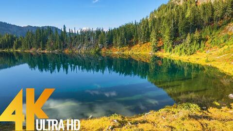 大自然视频,大自然视频中的视觉盛宴