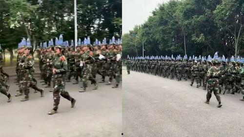 齐步走视频,展现团队协作与纪律精神的精彩瞬间