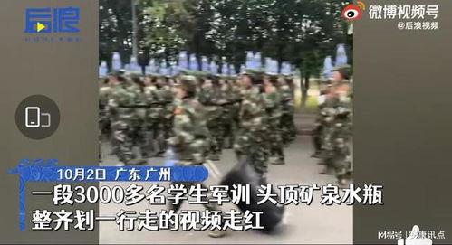 齐步走视频,展现团队协作与纪律精神的精彩瞬间