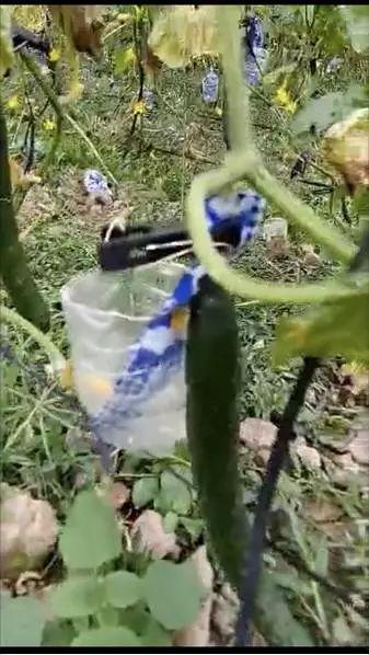 微山吃瓜最新事件爆料视频,最新爆料视频揭露惊人内幕