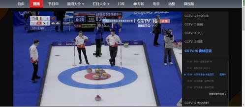 东奥视频,揭秘财务与会计领域的核心知识