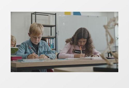 写作业的视频,高效学习与作业完成指南