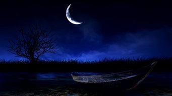 孤独视频下载,跟随视频下载探索心灵深处