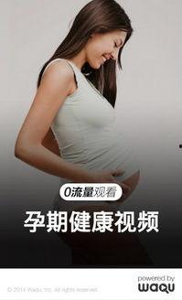 孕期视频,视频记录的温馨瞬间
