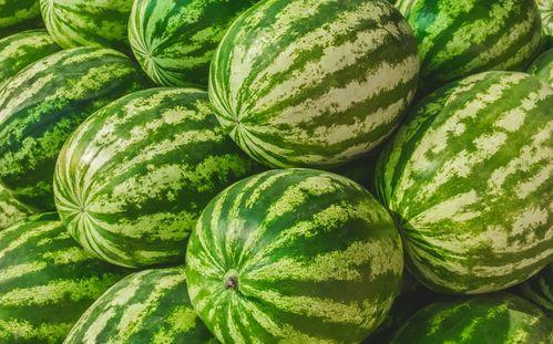 今日吃瓜 热门大瓜,揭秘娱乐圈最新重磅事件