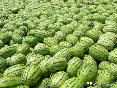 今日吃瓜 热门大瓜,揭秘娱乐圈最新重磅事件