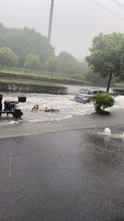 发大水视频,惊心动魄的现场纪实