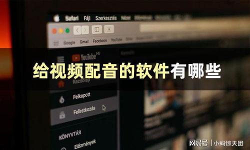 视频配音软件,轻松打造个性化视听体验