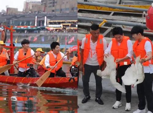 龙舟教学视频,解锁水上竞技魅力，体验团队协作风采