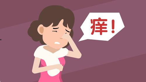 痒的视频,揭秘身体痒感的奥秘与应对策略