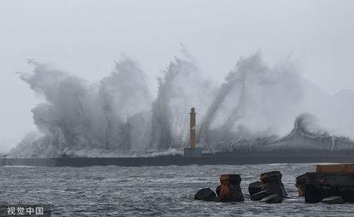 海葵视频,海葵的生态奥秘与视觉盛宴