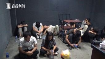 传销视频,揭秘传销视频背后的真相与陷阱