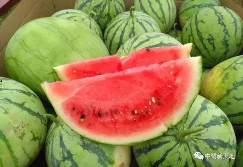 今日吃瓜往日吃瓜的意思,一场全民娱乐的演变之旅