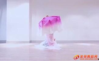 咏荷舞蹈视频,诗意盎然的咏荷舞蹈风采