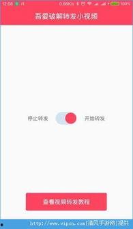 转发视频,一场视觉盛宴的诞生