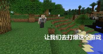 玩我的世界的视频,跟随视频领略游戏魅力与冒险之旅