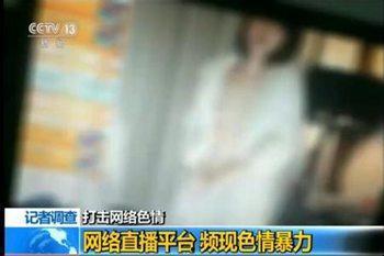 性播视频,内容、影响与反思