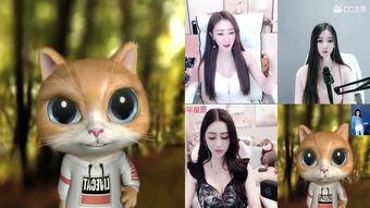 小小的视频,捕捉生活瞬间，展现人间真情