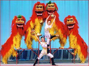 狮子舞视频,传统民俗与现代风采的完美融合