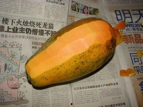 黑瓜和红薯能不能一起吃,探究能否同食的饮食奥秘