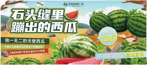 51吃瓜中心今日大瓜,今日大瓜事件全解析